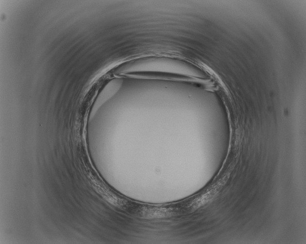 X0000083621019200703121623