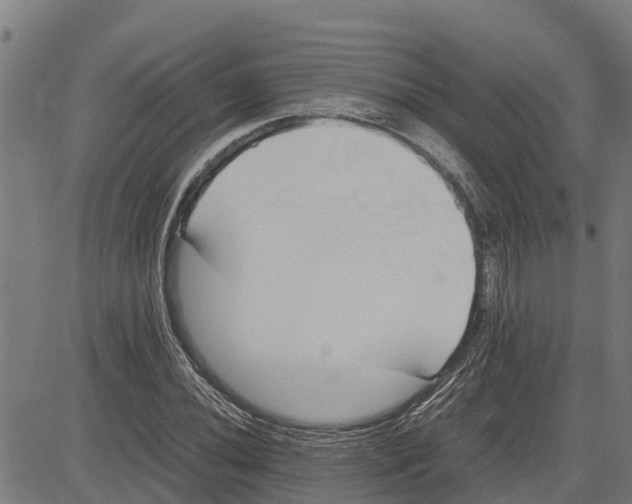 X0000083621020200703121623