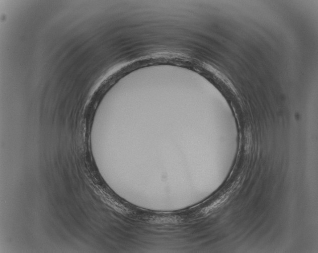 X0000083621021200703121623