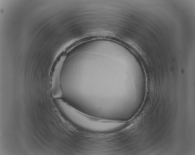 X0000083621022200703121623