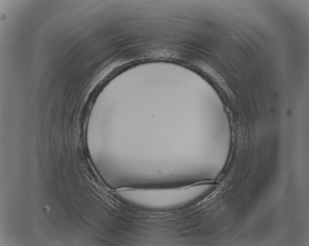 X0000083621023200703121623