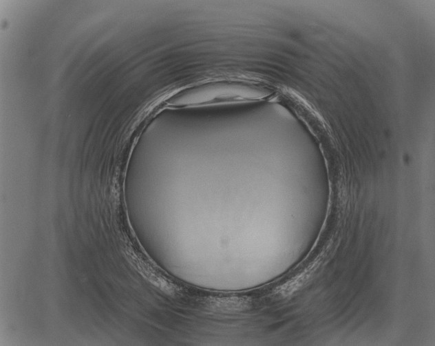 X0000083621025200703121623