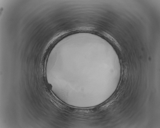 X0000083621027200703121623