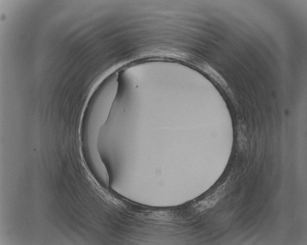 X0000083621028200703121623