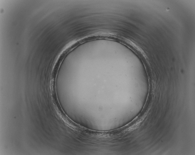 X0000083621029200703121623