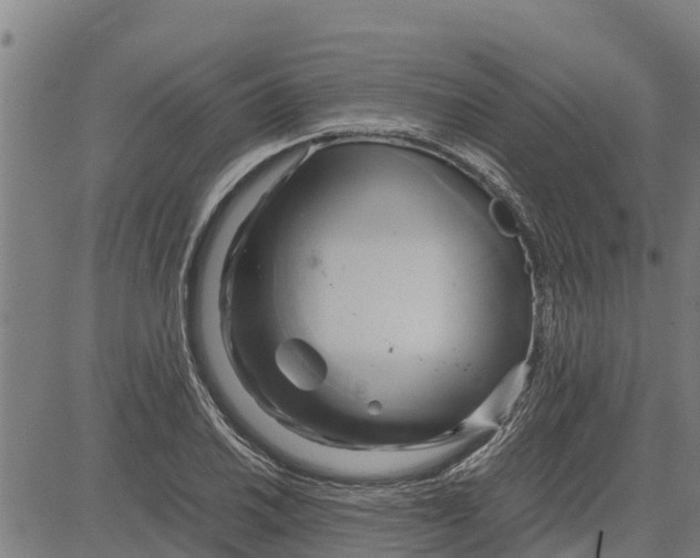 X0000083621030200703121623