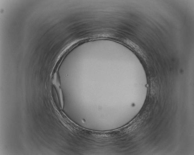 X0000083621031200703121623