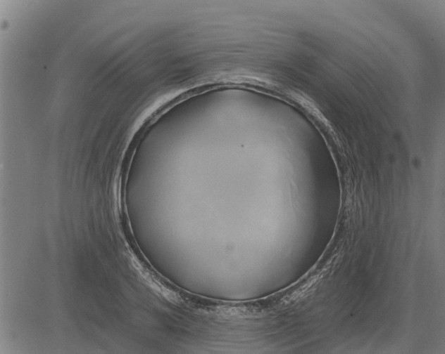 X0000083621032200703121623