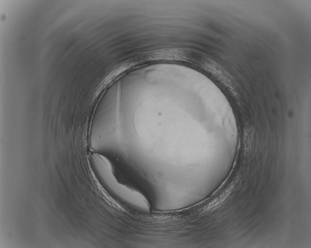 X0000083621033200703121623