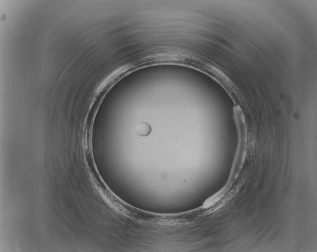 X0000083621034200703121623