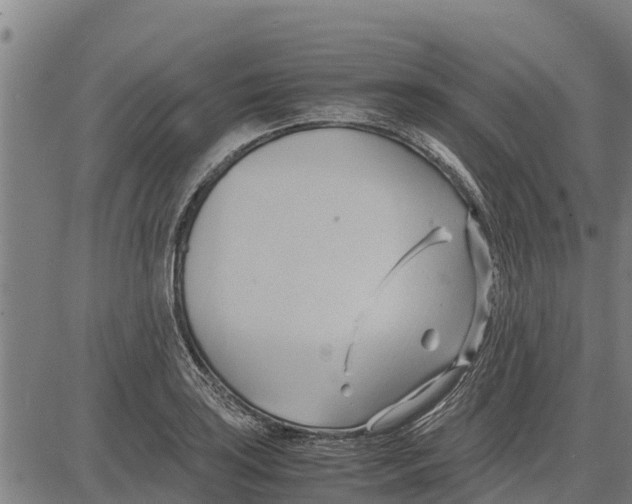 X0000083621035200703121623