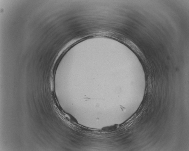 X0000083621036200703121623