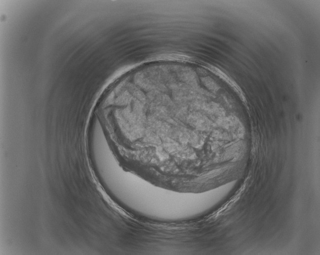 X0000083621037200703121623