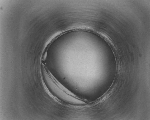 X0000083621038200703121623