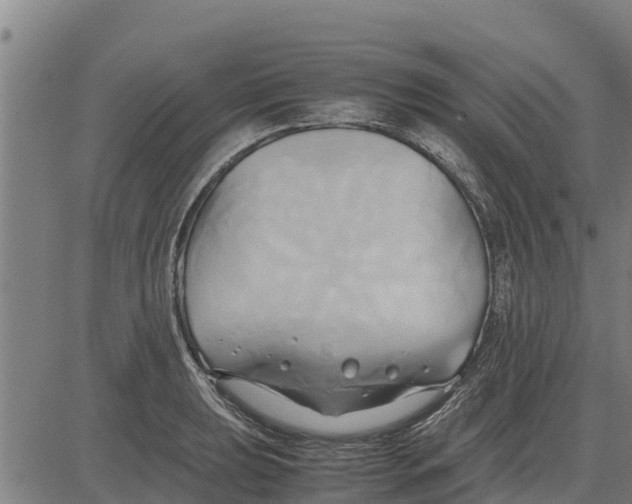 X0000083621039200703121623