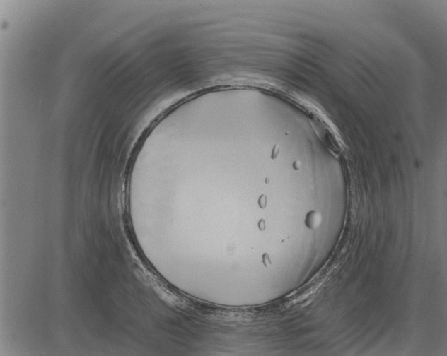 X0000083621040200703121623