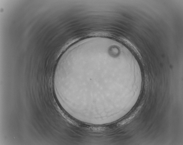 X0000083621041200703121623