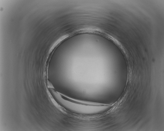 X0000083621042200703121623