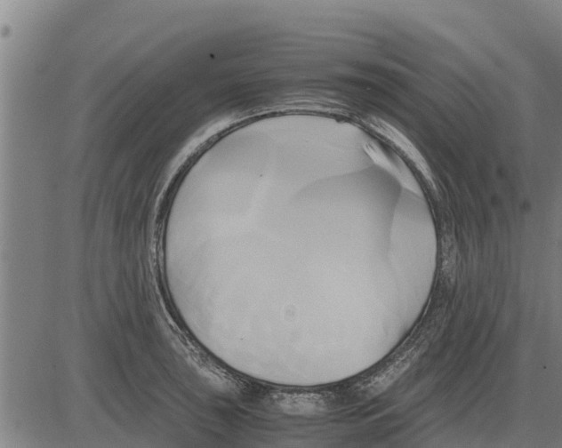 X0000083621043200703121623