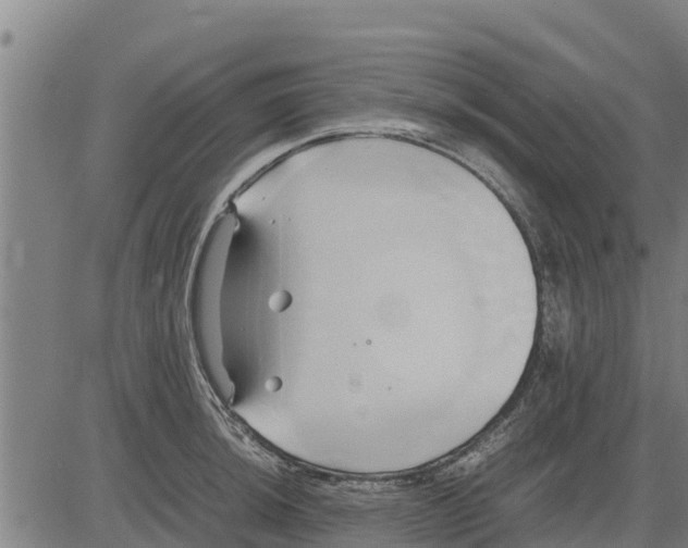 X0000083621044200703121623