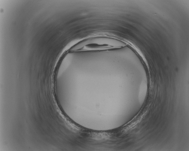 X0000083621045200703121623