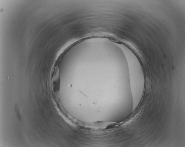 X0000083621046200703121623