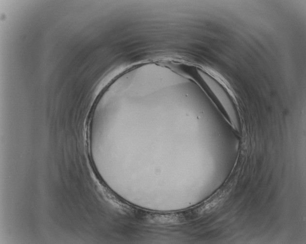 X0000083621047200703121623