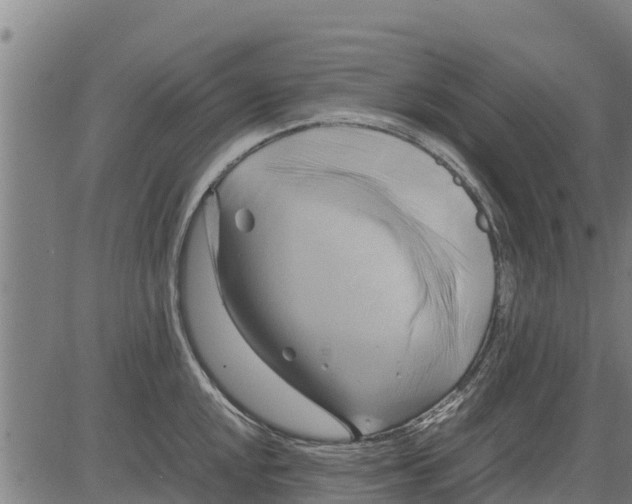 X0000083621048200703121623