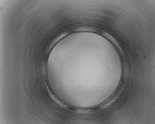 X0000083621049200703121623