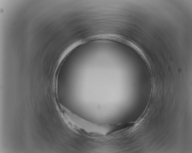 X0000083621050200703121623