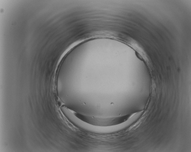 X0000083621052200703121623