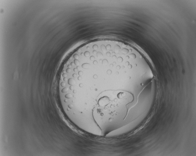 X0000083621053200703121623