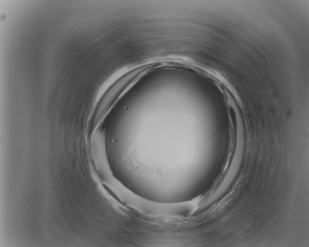 X0000083621054200703121623