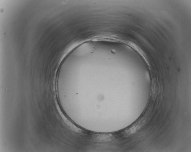 X0000083621055200703121623