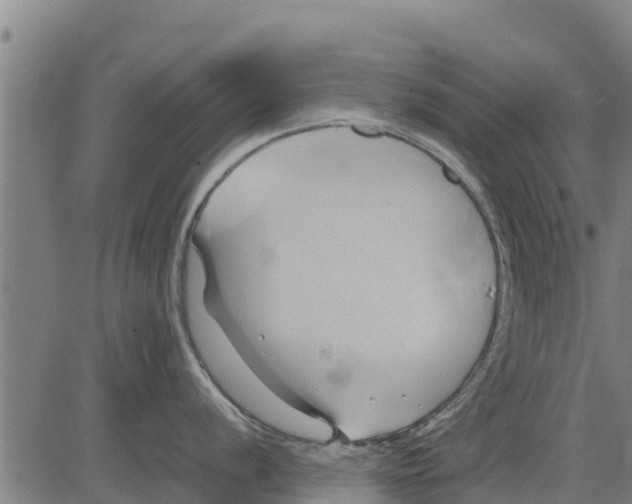 X0000083621056200703121623