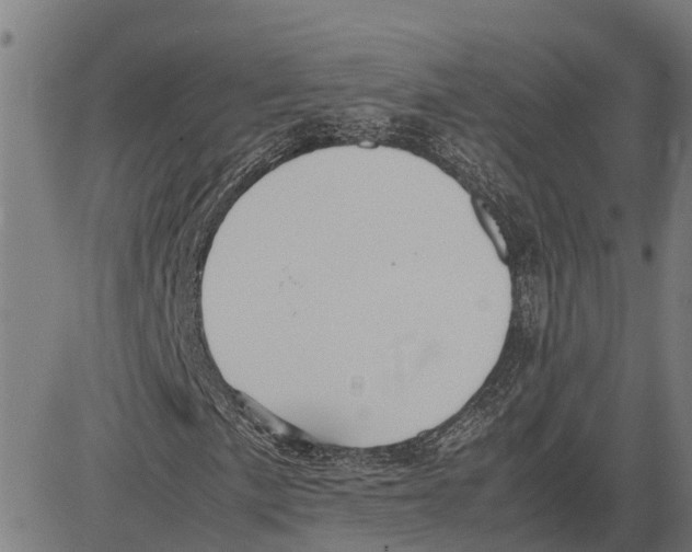 X0000083621057200703121623