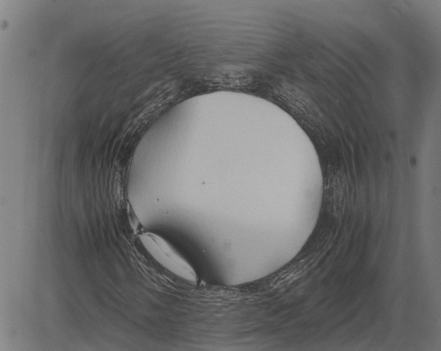 X0000083621058200703121622