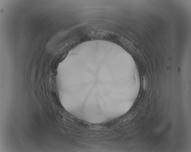 X0000083621059200703121622