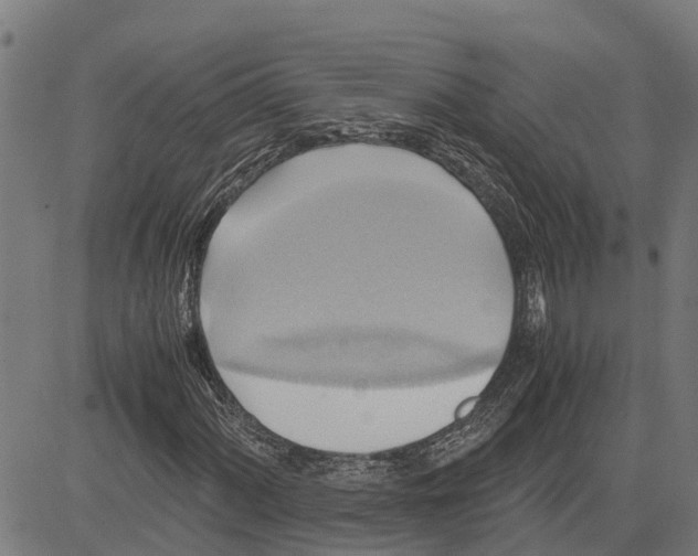 X0000083621060200703121622