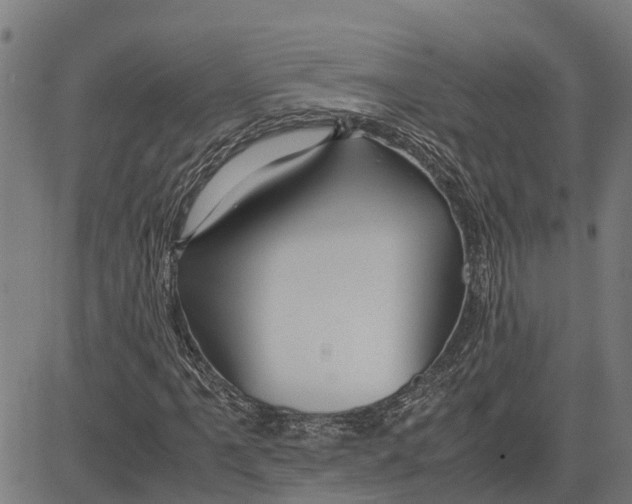 X0000083621061200703121622