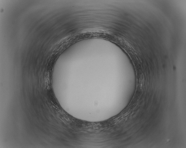 X0000083621062200703121622