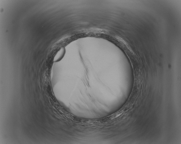 X0000083621063200703121622