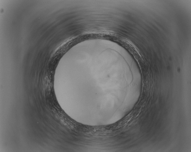 X0000083621064200703121622