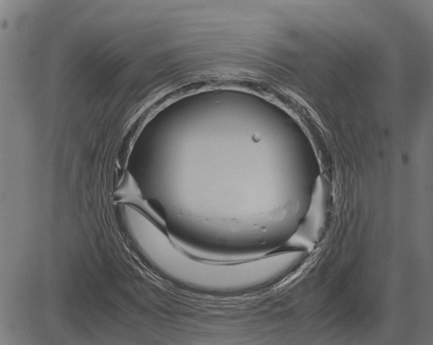 X0000083621065200703121622