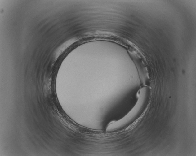 X0000083621066200703121622