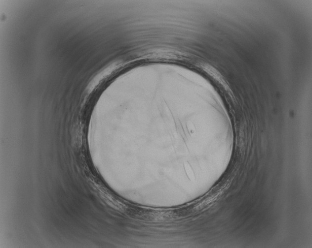 X0000083621067200703121622