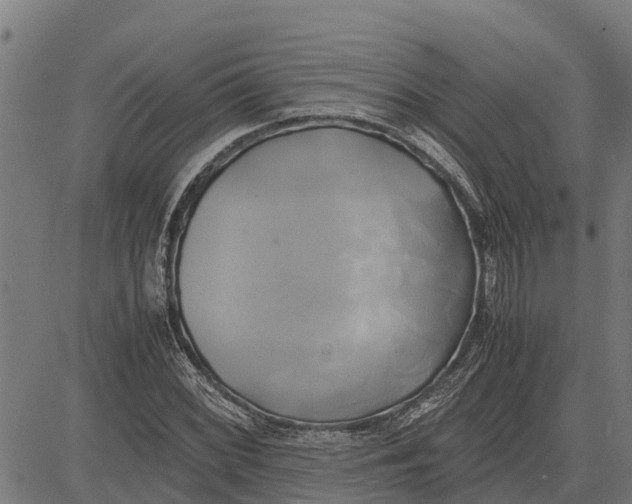 X0000083621068200703121622