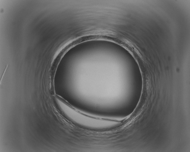 X0000083621069200703121622