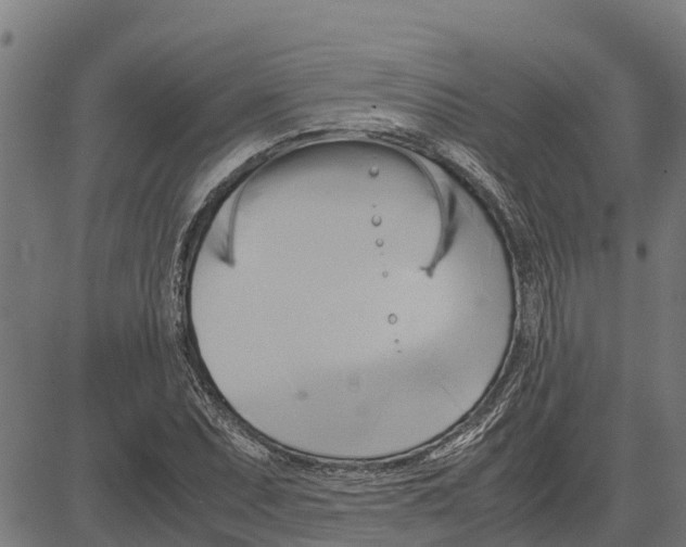 X0000083621071200703121622