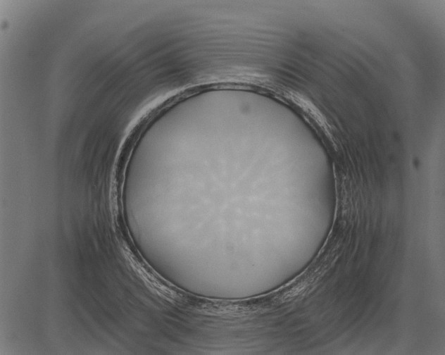 X0000083621072200703121622